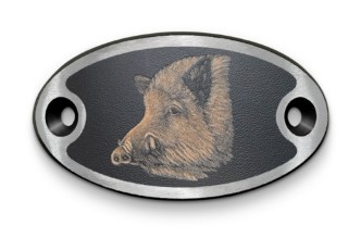 Emme Wildschwein_3696